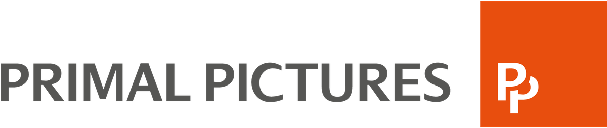 PP-Logo-lockup-large.png