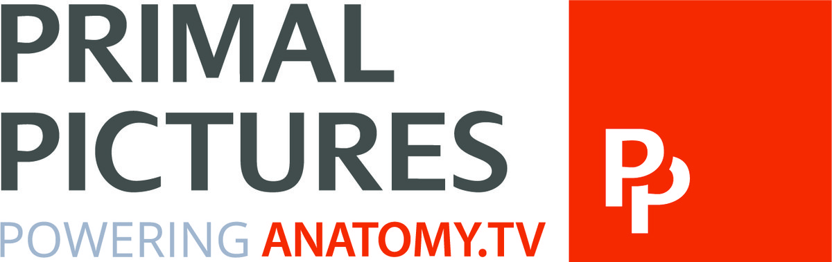 Primal Pictures-logo-with Anatomy.tv-CMYK.jpg