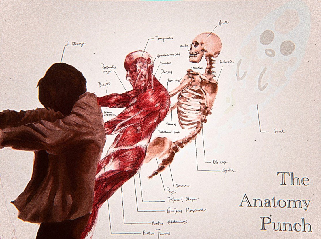 The Anatomy Punch